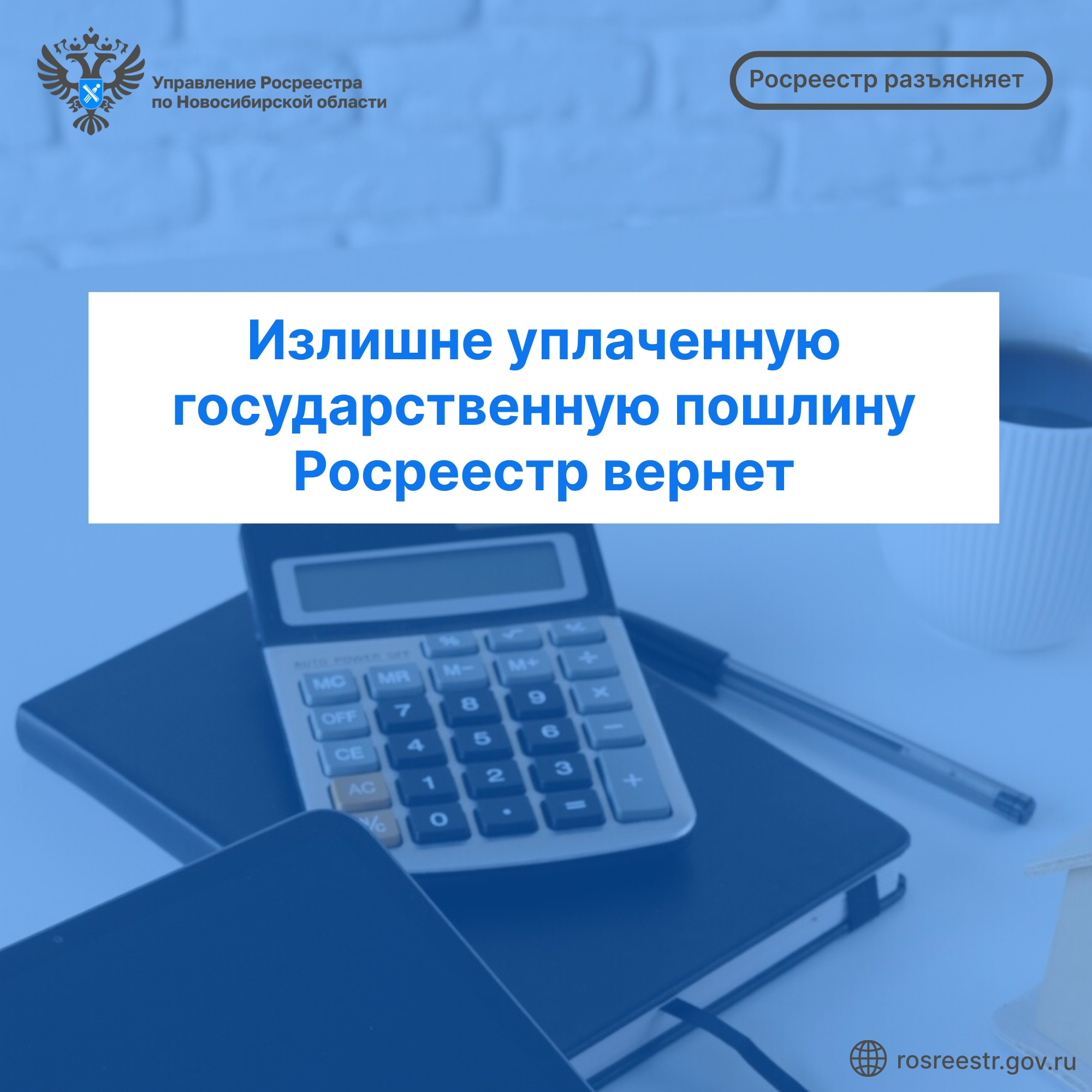 Открыть оригинальное изображение